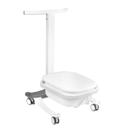 Foot bath with lifting function