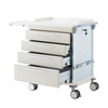 LINT Medicine Trolley